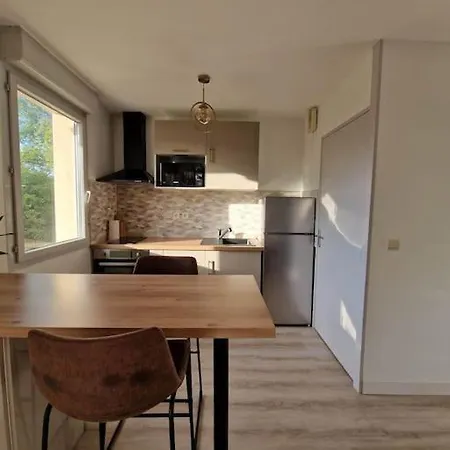 Cosy Oloron, Aux Pieds Des Pyrenees Et De L'atlantique! Apartment